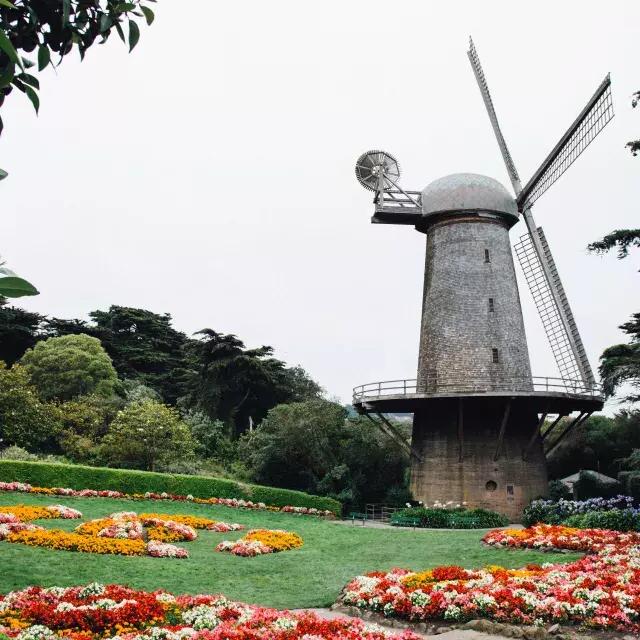 荷兰风车在金门公园